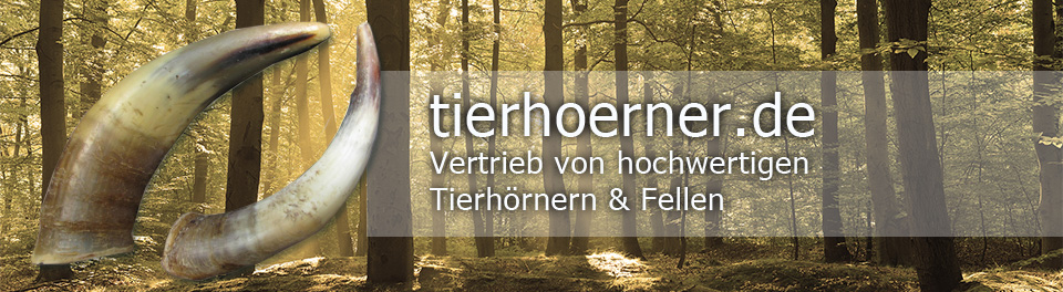 knochenpraeparation.de - Professionelle Pr�paration von Knochen